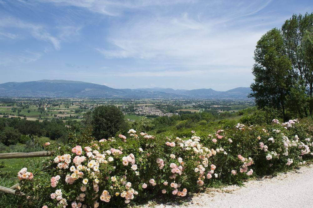 Apartamento Il Poggio Dei Pettirossi Pettorano sul Gizio Exterior foto